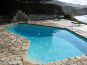 Bay Area Pool Service News